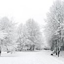 머물다가 이미지