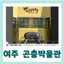 여주박물관화장실 | 여주 곤충박물관 곤충 좋아하는 6세 일요일 방문후기 및 꿀팁