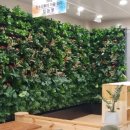 안강청소년문화의집 이미지