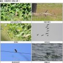 낙동강관리본부 대저생태공원 5 이미지