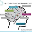 지능의 중심, 도파민 왜 그 물질을 말살시키는지요? 이미지