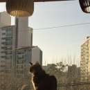 메이커스유니온스퀘어 네이버블로그