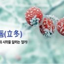 2025년의 입동(立冬) 이미지