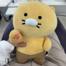 턱편한사랑니치과의원 | 안양 범계 턱편한사랑니치과 매복사랑니 발치 리얼후기