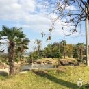 그린티하우스 이미지