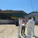 김숙자축사 이미지