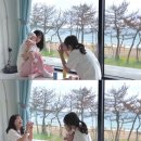 🌊 포항 숙소 추천｜오션뷰 끝판왕 더헤이븐리조트펜션 후기
