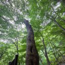 주식회사 천일 | ⛰️양산통도사 백운암.극락암 후기^^