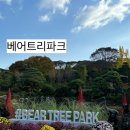 세종파크 | 세종시 베어트리파크 후기