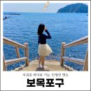 서귀포농업협동조합보목지점 | 제주 서귀포 바다 보목포구 포토존 사진 명소
