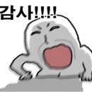33한우고집 이미지