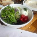 야당마을동물병원 이미지