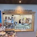 태교여행(2) 만좌모, 블루씰 맛 추천, 아메리칸빌리지 이치겐야 솔직후기, 파르코시티 트립트랩 구매