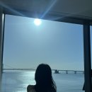 영도구-8 | 부산 태종대 카페 스릴온더머그 (+2월 일상:미주신경 실신으로 인한 검단탑병원 응급실:커피랑 잠시...