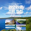 트립아카데미