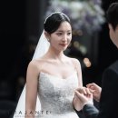 비아잔떼