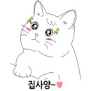 맑은 동물병원 이미지
