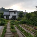 심심한책방 이미지