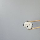 물오름달 이미지