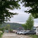 다미숲식당 이미지