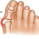 슬림앤스트롱 강동점 이미지