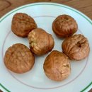 경기도립 안성휴게소의원 | 경부고속도로 안성휴게소 서울방향 간식 추천 호두과자와 공주밤빵