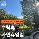 동막골쉼