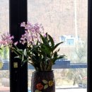 자연등잔길 이미지