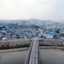 홍어1번지 이미지