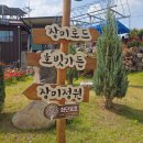 동명초등학교 | 대전 5월 축제 대청호 장미전시회 자연생태관 주차 볼거리 방문 후기