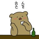 술집정 이미지