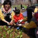 강동 태양광발전소 이미지