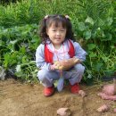 진하농장 이미지