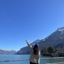 산책가까 | [6. 신혼여행_스위스] 브리엔츠 호수 여행 후기｜인터라켄에서 꼭 가봐야 할 곳