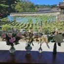 (주)럭키소재 | 어니스트플라워 추천인 별튤립7261 럭키박스 후기