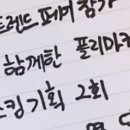 시고르스토어 네이버블로그