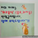 창원마산 애견카페: 고양이도 있는 애견카페포(새단장 후기)