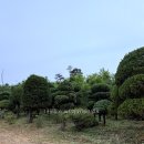 반송 이미지