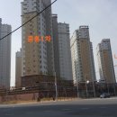 산양타워 앞(명지동 3412-1) 네이버블로그