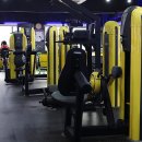 아레나 피트니스 이미지