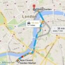 Flower Gar 이미지