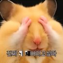 야음테니스장 이미지