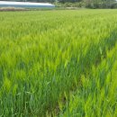 초동우체국 이미지