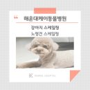 해운대 케이 동물병원 이미지