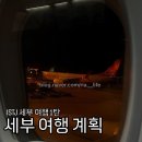 (주)신한약품 | ISTJ 세부 여행 1탄 :: 준비물 세부날씨•비행기 예매•숙소•패키지•환전•코스짜기•유심•e-Travel)