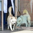 송강동물병원 이미지