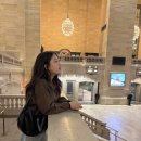 [개포1] 뉴욕의 브런치 따라잡기 | [EF뉴욕 어학연수 후기 #3] 태리타운 구경,팔리사이드 몰,타임스퀘어, 브루클린브릿지