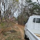 성호농원 이미지