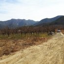 신세기공인중개사사무소 이미지