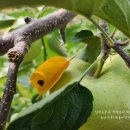 민혁농장 이미지